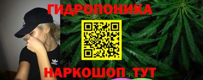 СК Аргун